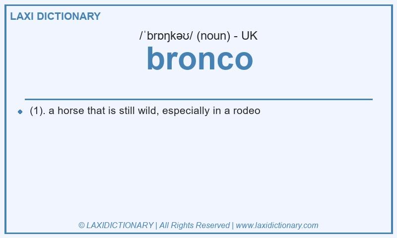 Definition bronco in British English
