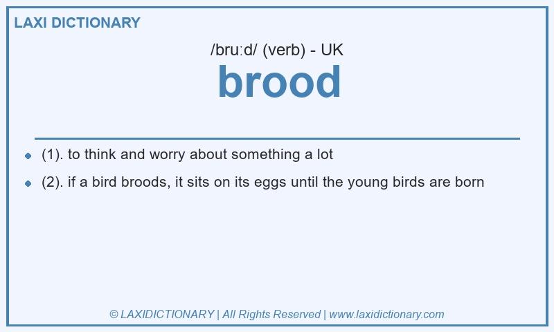 Definition brood in British English