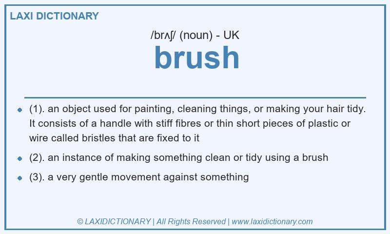 Definition brush in British English