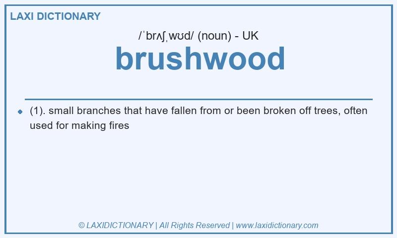 Definition brushwood in British English