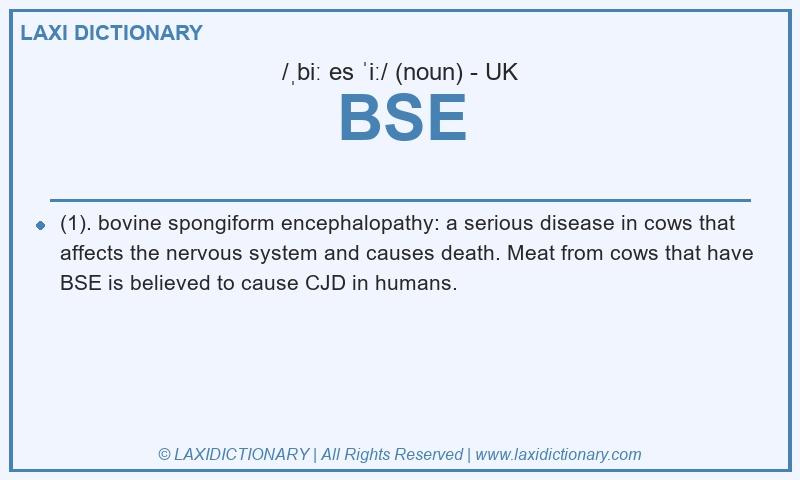 Definition BSE in British English