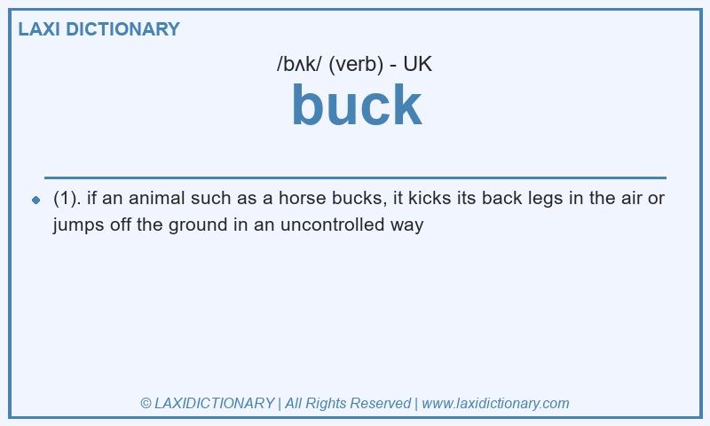 Definition buck in British English