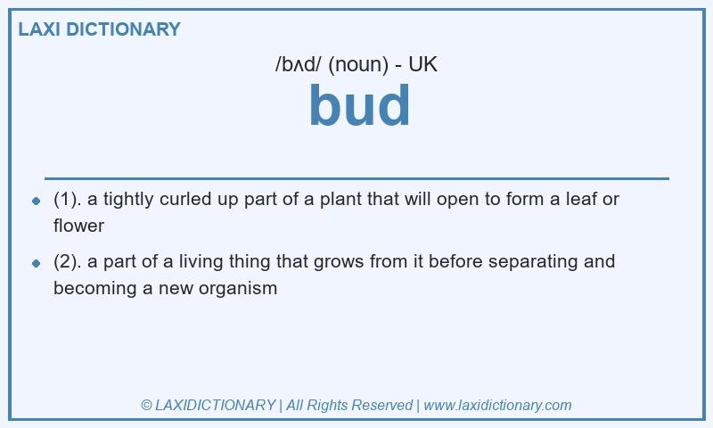 Definition bud in British English