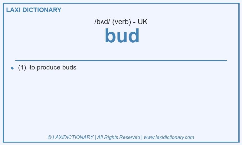 Definition bud in British English