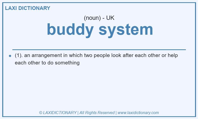 Definition buddy system in British English