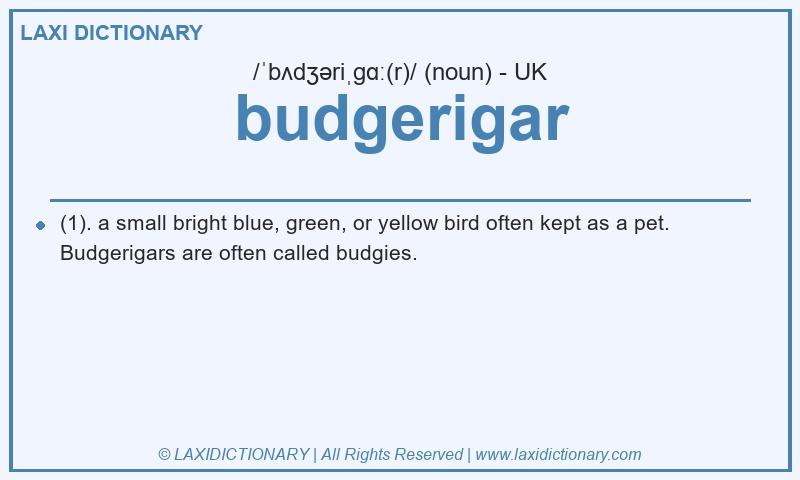 Definition budgerigar in British English
