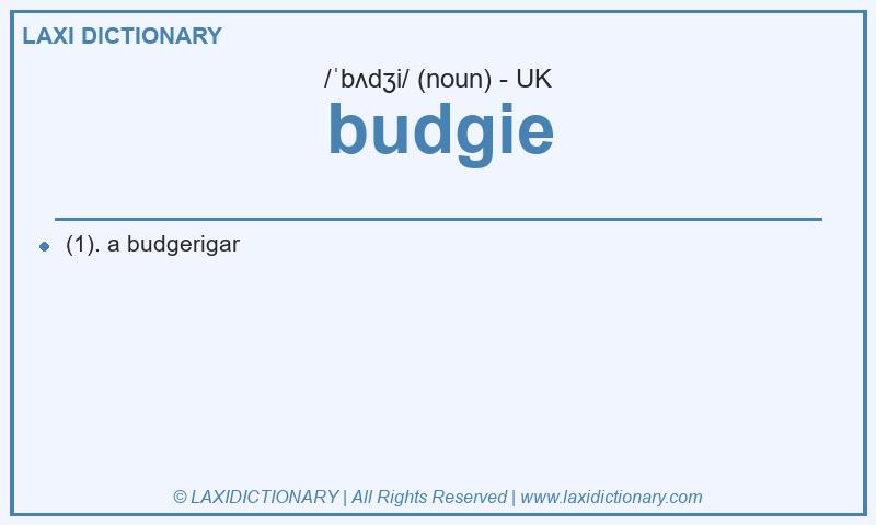 Definition budgie in British English