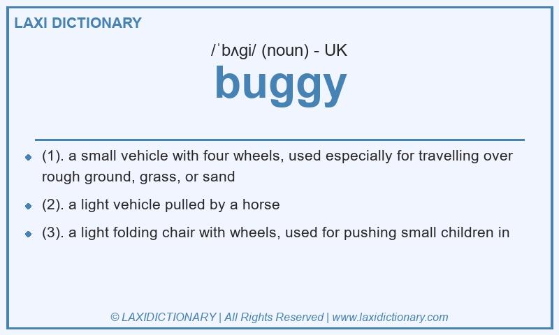 Definition buggy in British English