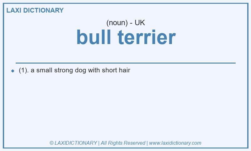 Definition bull terrier in British English