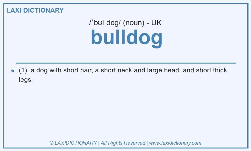 Definition bulldog in British English