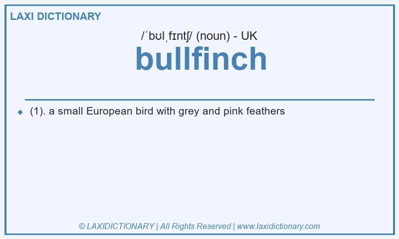Definition bullfinch in British English