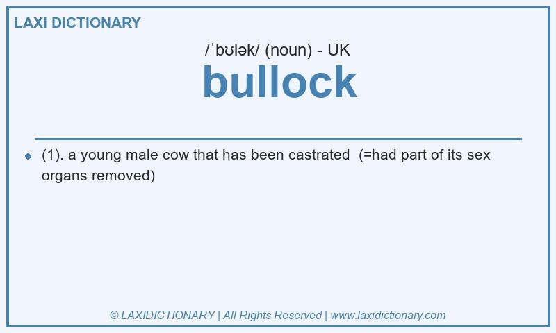 Definition bullock in British English