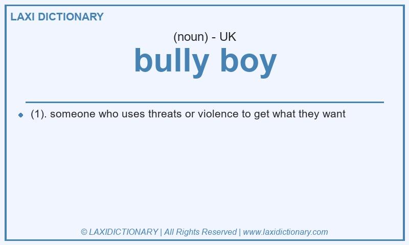 Definition bully boy in British English