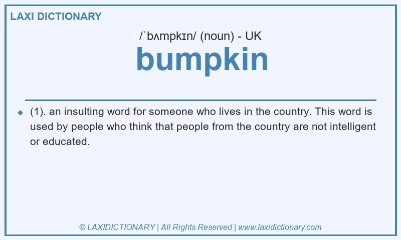 Definition bumpkin in British English