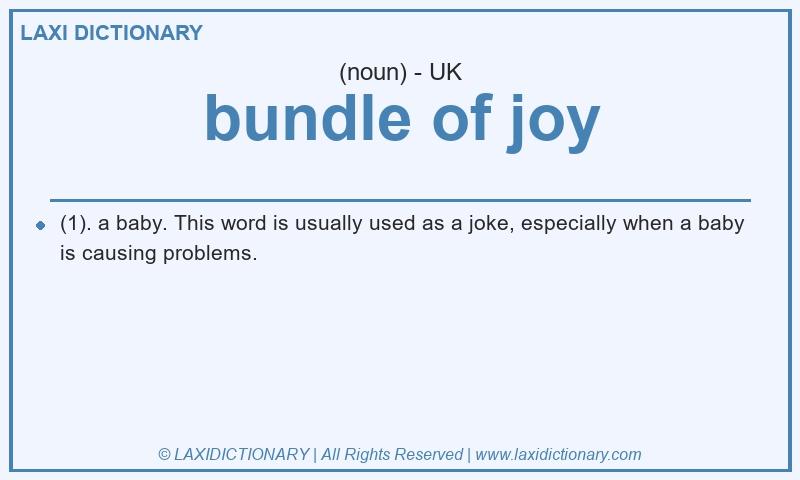 Definition bundle of joy in British English