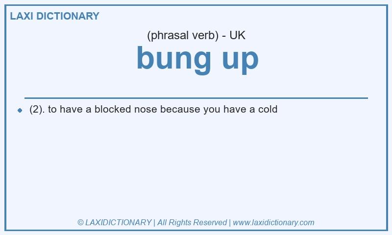 Definition bung up in British English