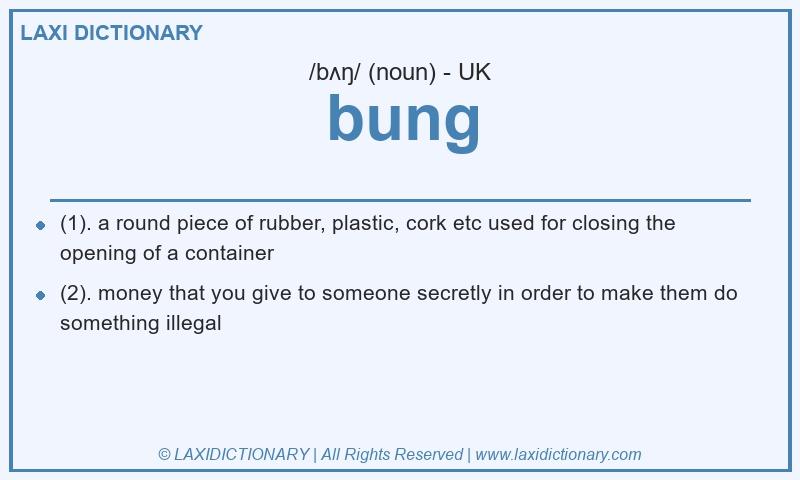Definition bung in British English