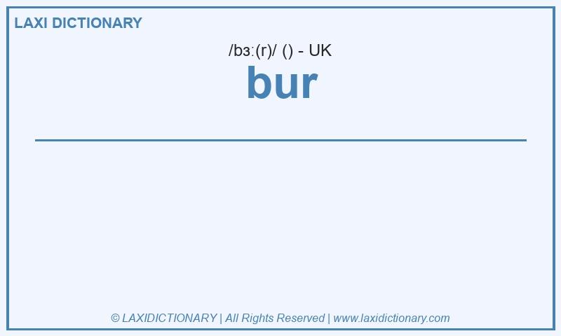 Definition bur in British English