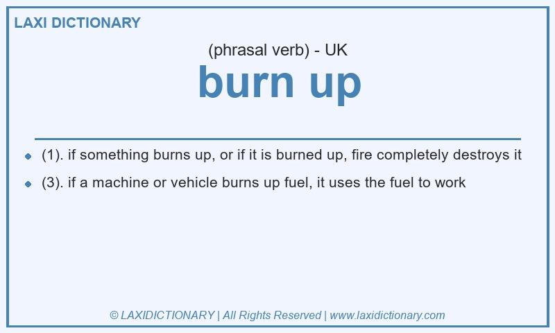 Definition burn up in British English