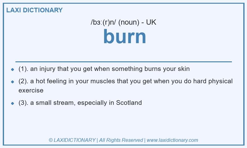Definition burn in British English