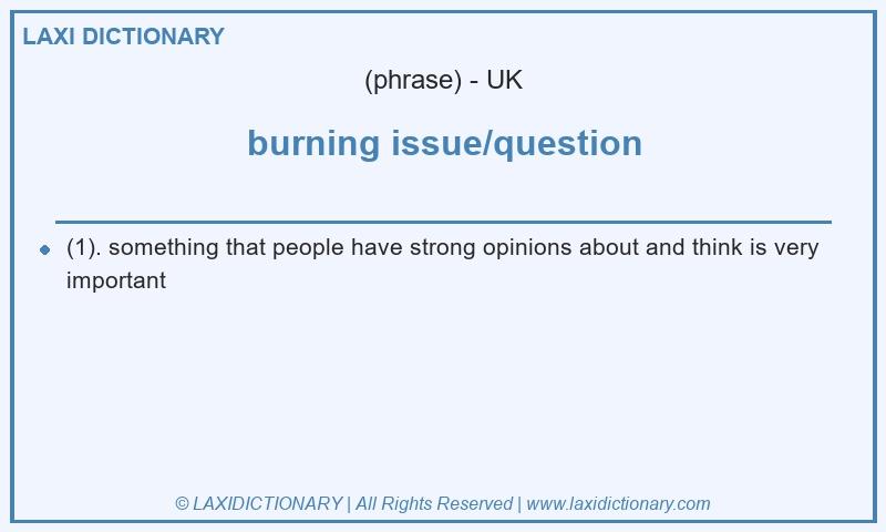 Definition burning issue/question in British English