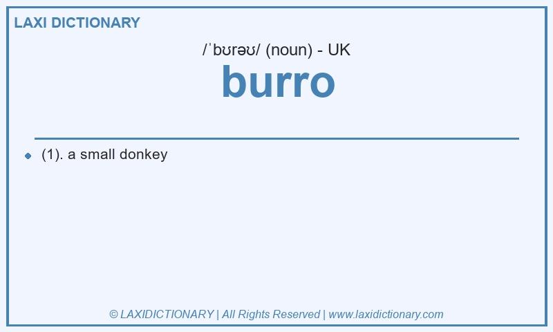 Definition burro in British English
