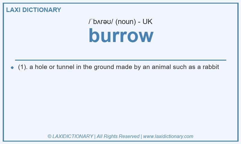 Definition burrow in British English