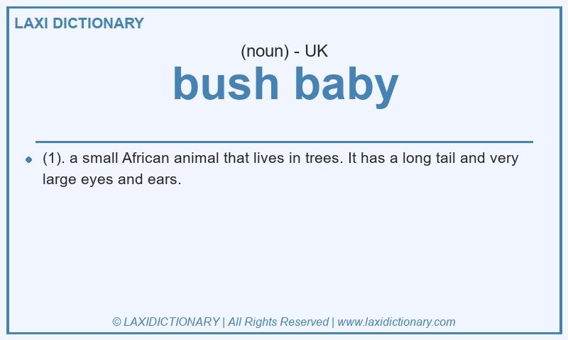 Definition bush baby in British English