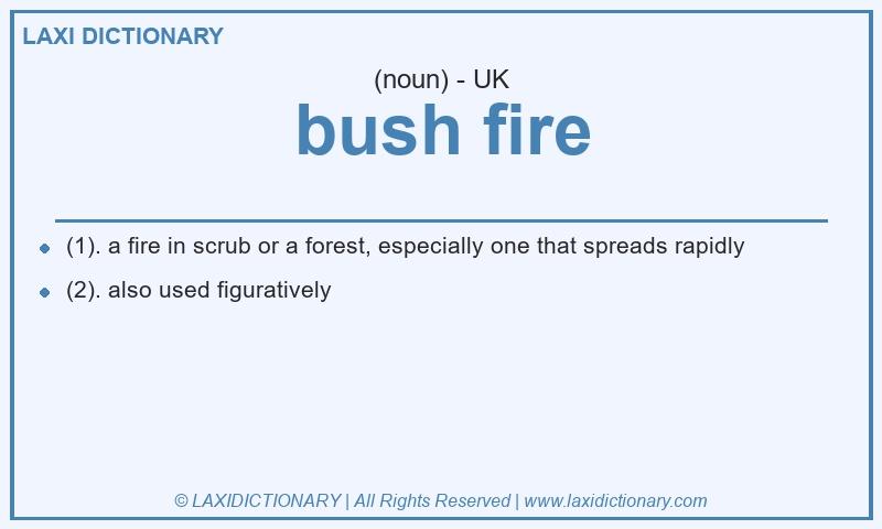 Definition bush fire in British English