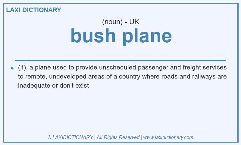 Definition bush plane in British English