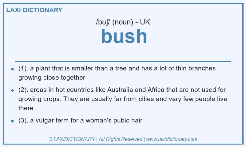 Definition bush in British English
