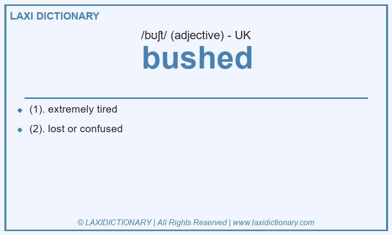 Definition bushed in British English