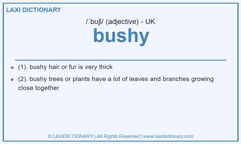 Definition bushy in British English