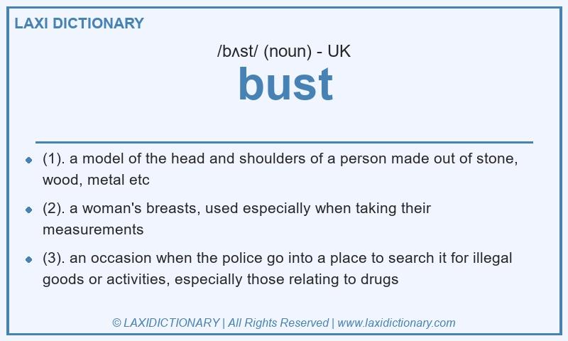 Definition bust in British English