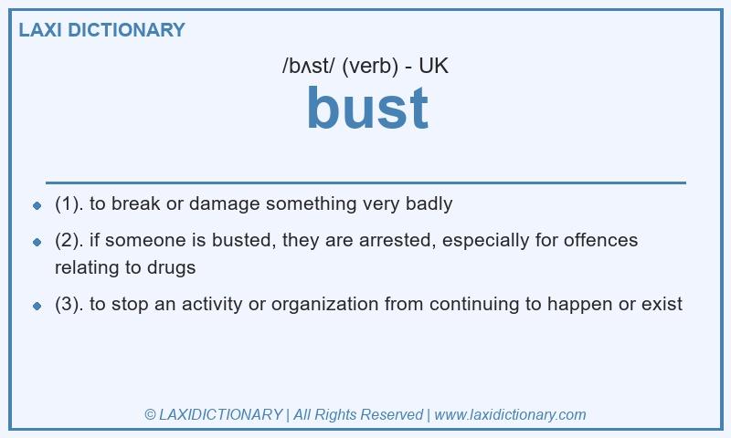 Definition bust in British English