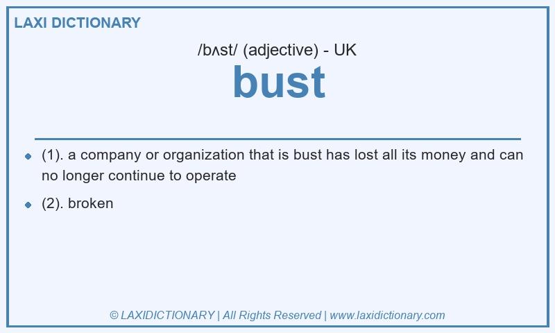 Definition bust in British English