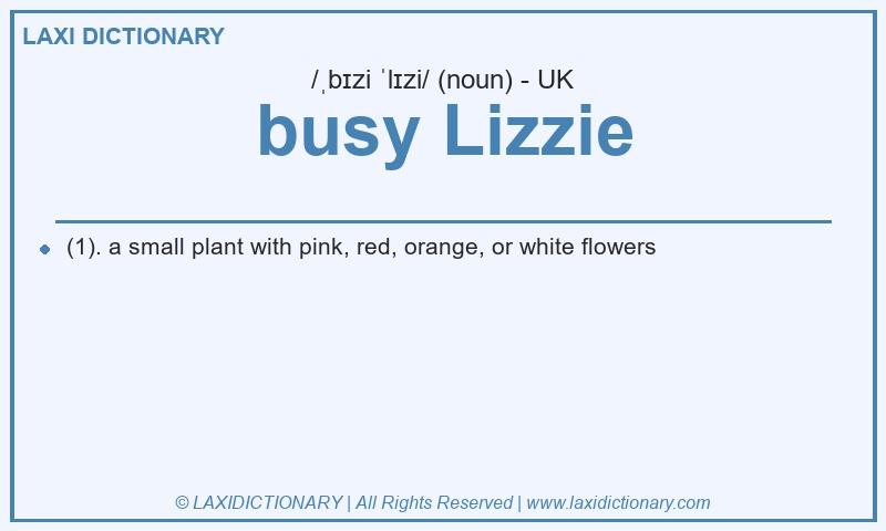 Definition busy Lizzie in British English