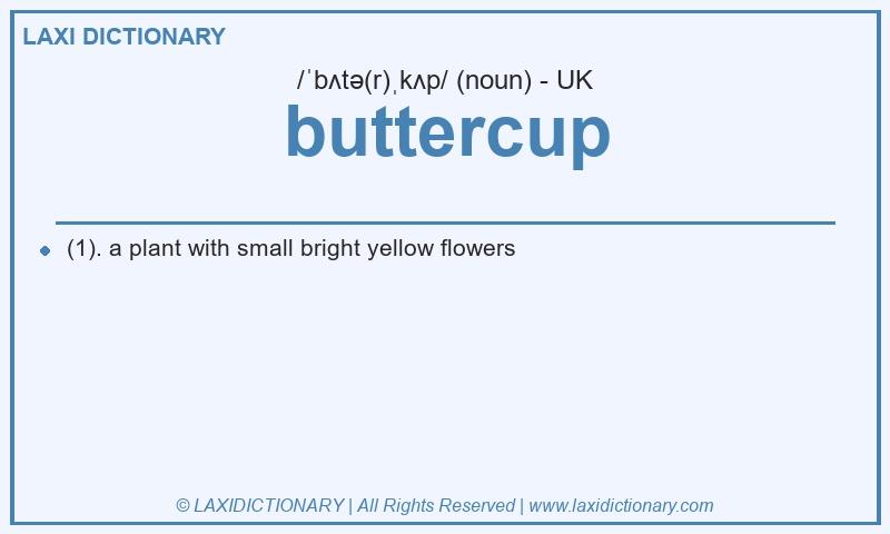 Definition buttercup in British English