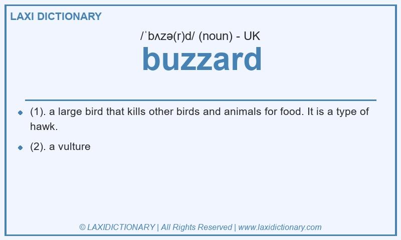 Definition buzzard in British English
