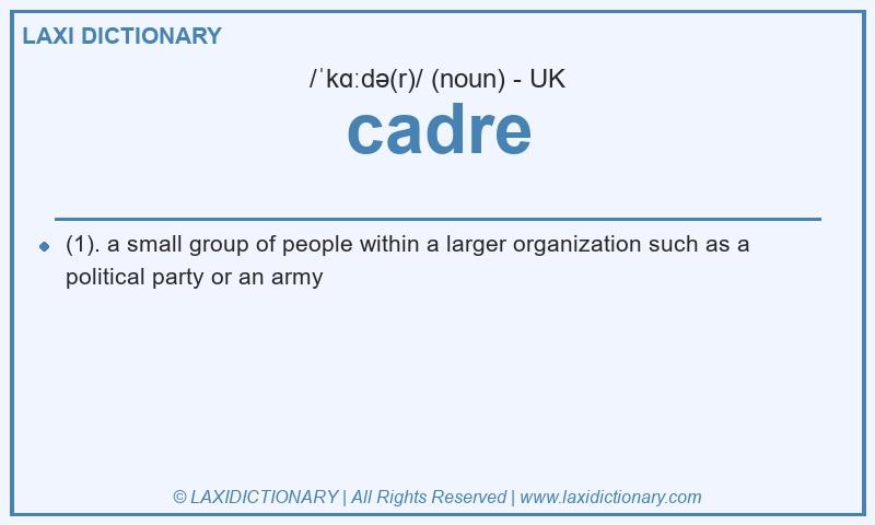 Definition cadre in British English
