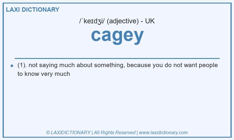 Definition cagey in British English