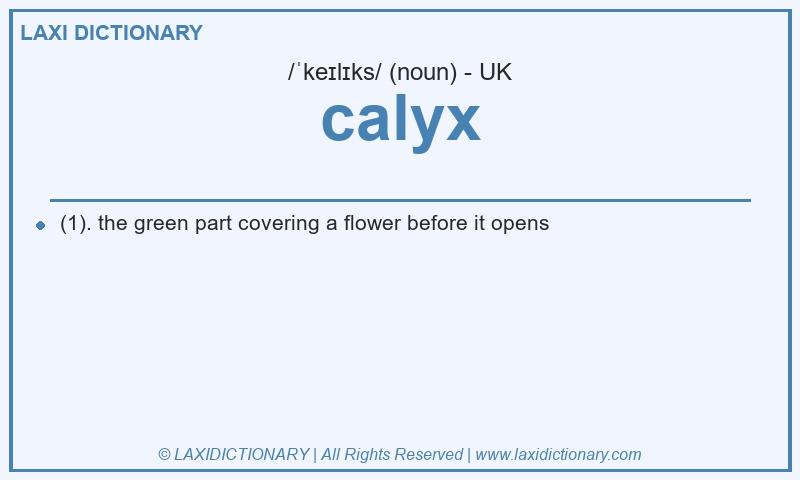 Definition calyx in British English