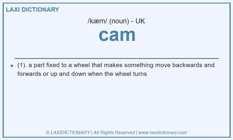 Definition cam in British English