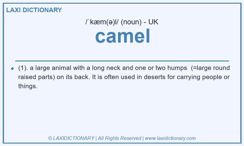 Definition camel in British English