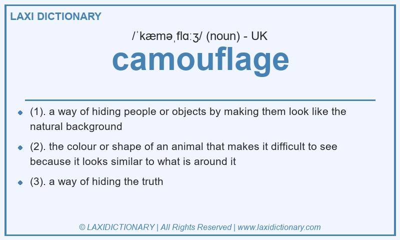 Definition camouflage in British English