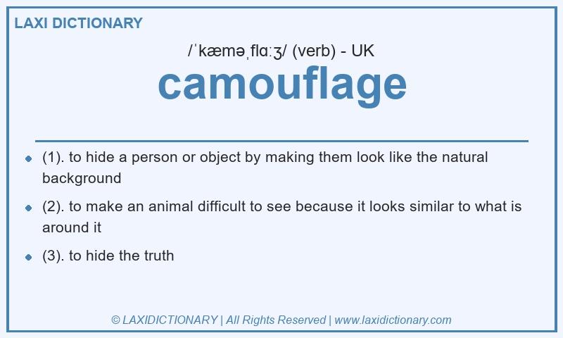 Definition camouflage in British English