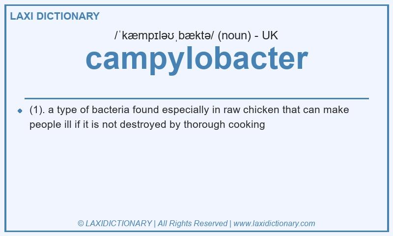 Definition campylobacter in British English