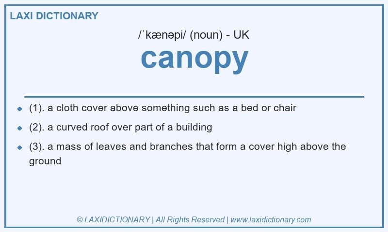 Definition canopy in British English
