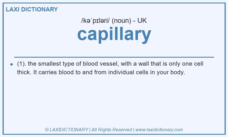 Definition capillary in British English
