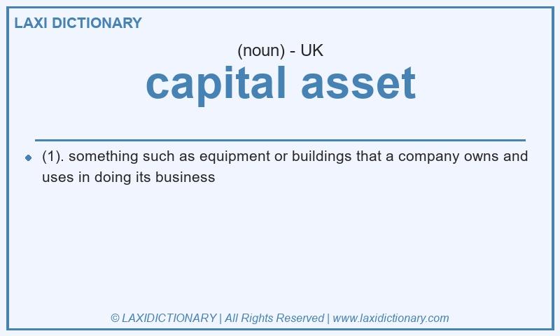 Definition capital asset in British English